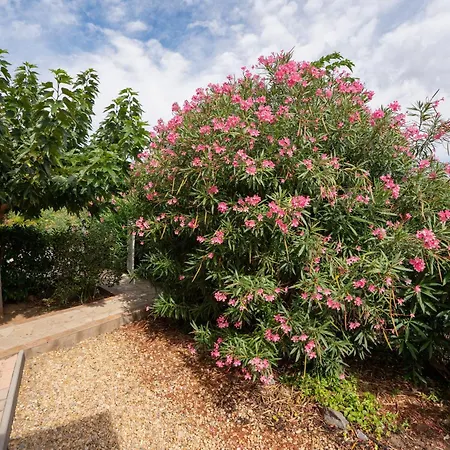 Avec Piscine Partagée * Agde